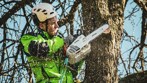 TONY LIEBALLE, élagueur professionnel au Mans en intervention sur un arbre